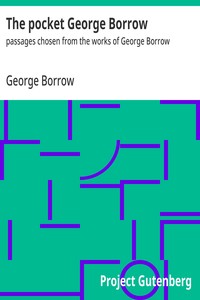 Cover of The pocket George Borrow — Reading Notes